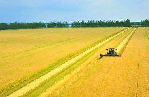 蒙東甕?，F(xiàn)代農(nóng)業(yè)服務